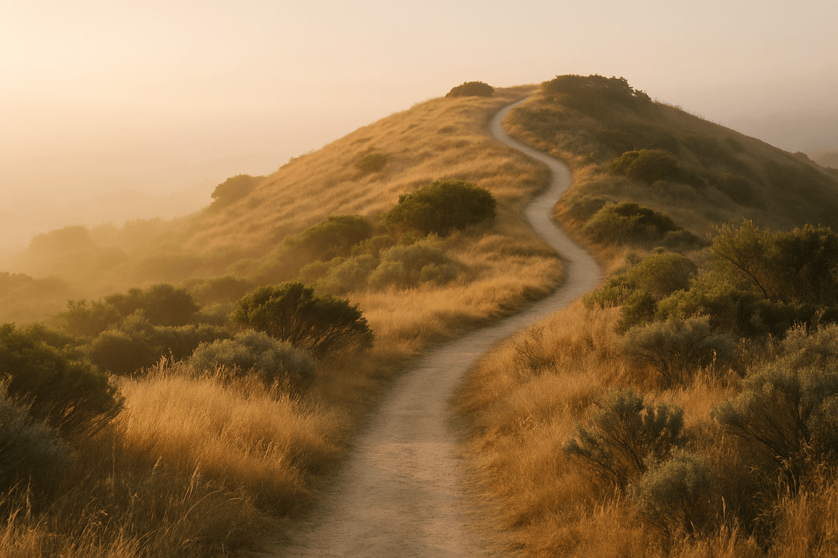 A hiking trail winding up a golden California hillside in early morning light
