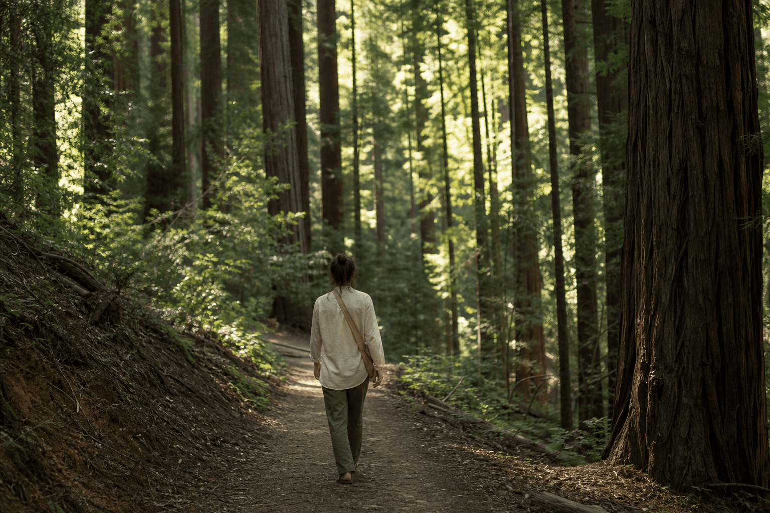 A person walking slowly through a quiet sunlit forest, dappled light through tall trees, calm and unhurried